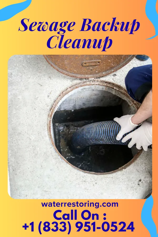 Sewage Backup Cleanup in Pine Island, FL