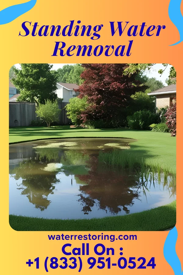 Standing Water Removal in Pine Island, FL